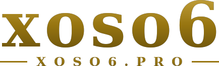 xoso6 logo